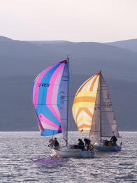 [P6020031_small.JPG]